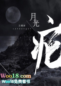 月光骑士第一季
